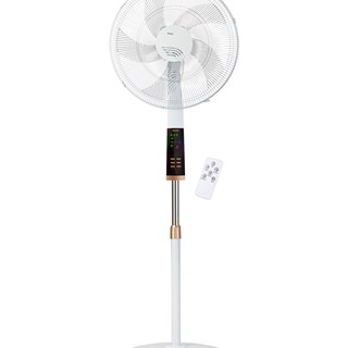 Free-Standing Fan