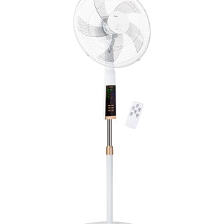 Free-Standing Fan