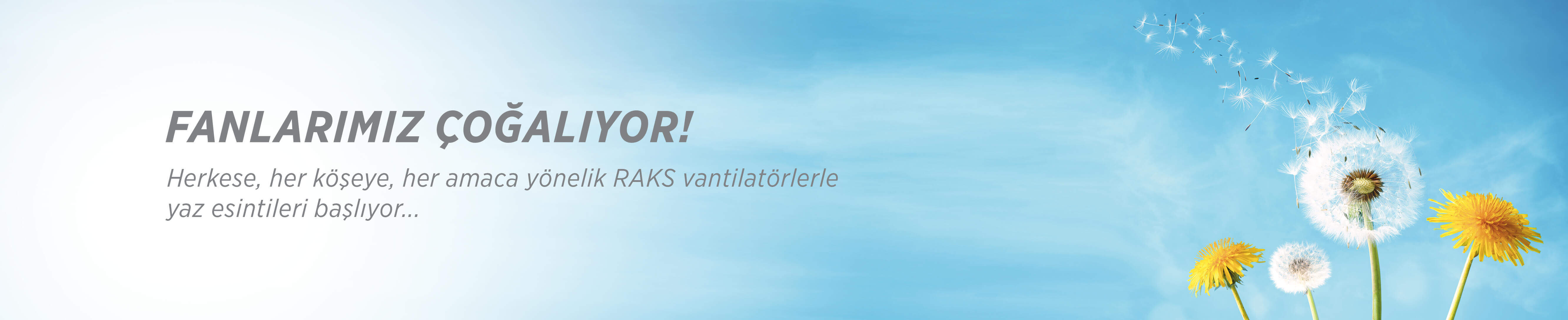 RAKS DF 16 STN Ventilateur de Bureau