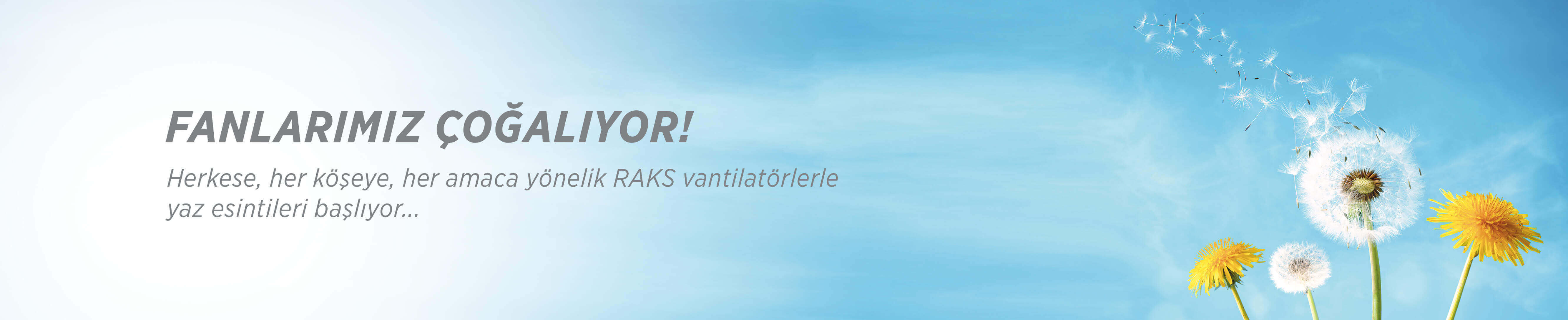 RAKS BOREAS 220 Luftkühler